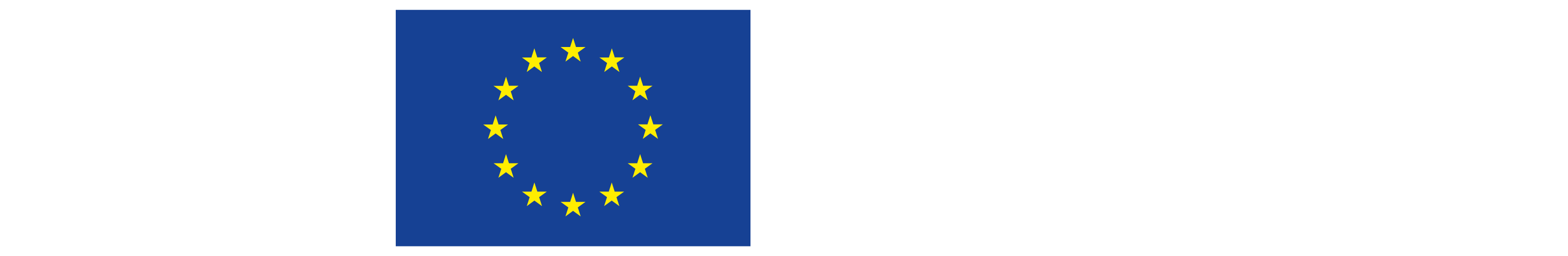 Cofounded by the European Union