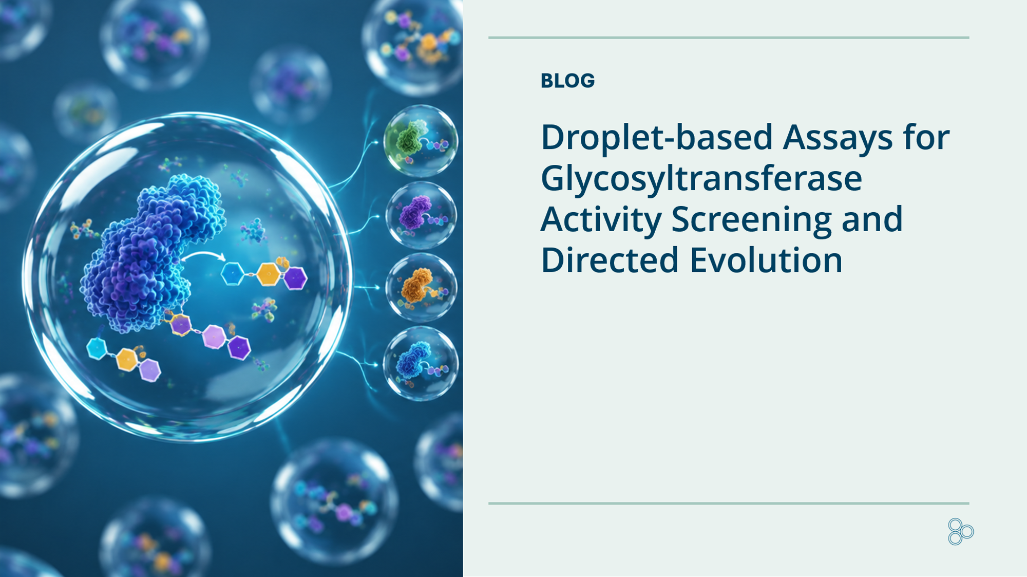 Glycotransferrase