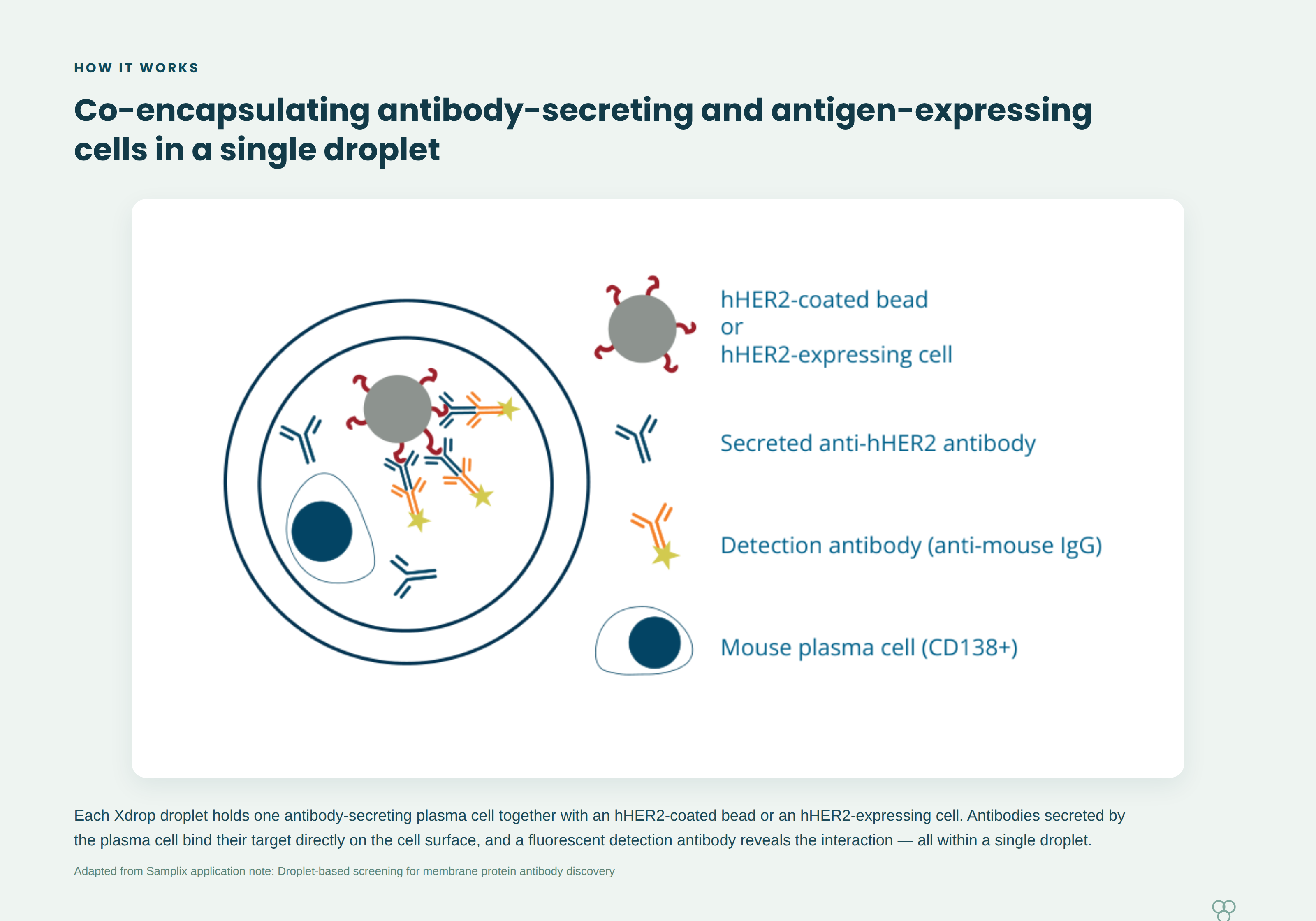 samplix blog membrane protein figure1 how it works(1)