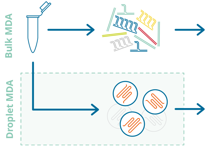 mdma workflow