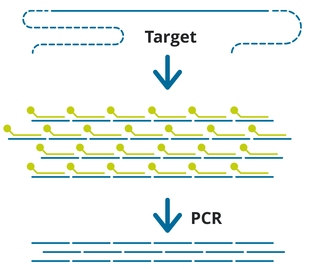 indirect sequence capture Hybridization capture