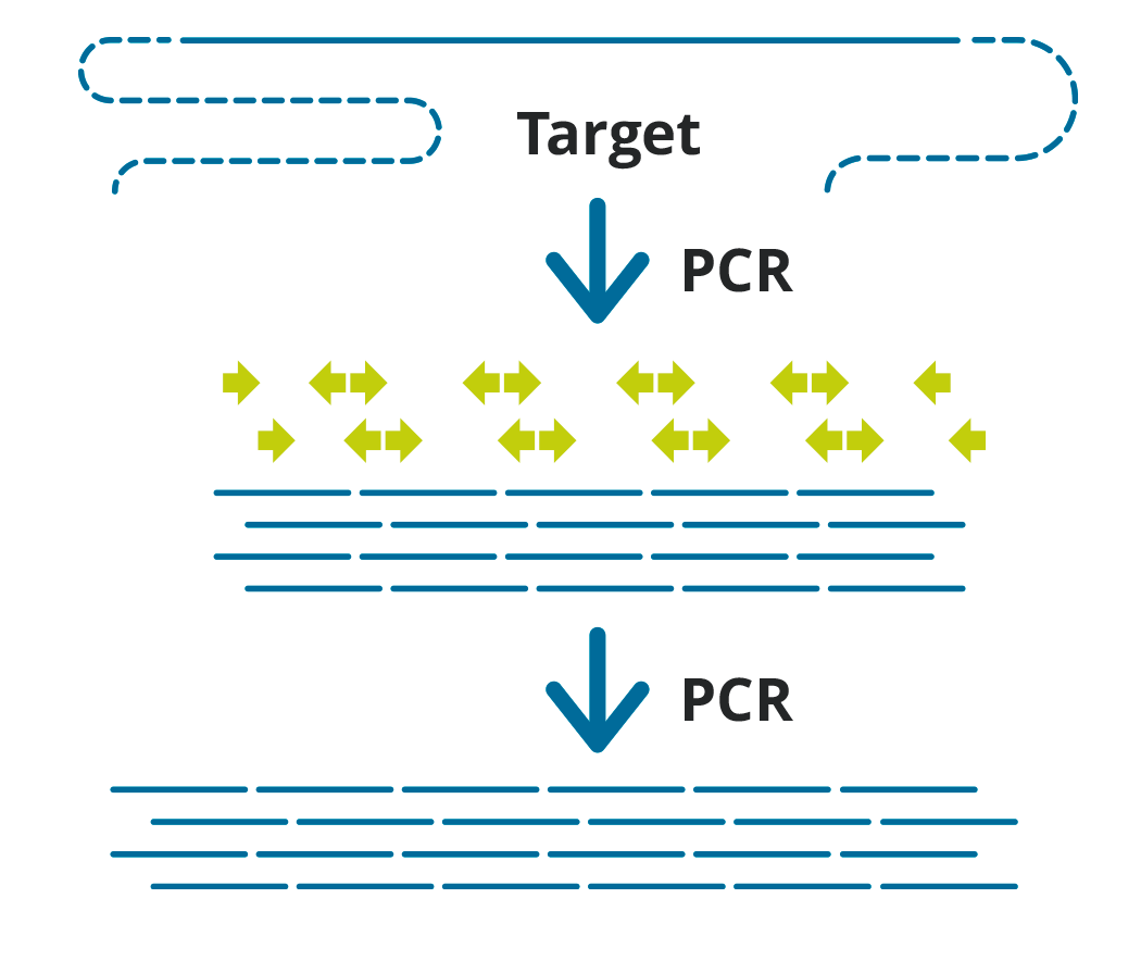indirect sequence capture aplicon based